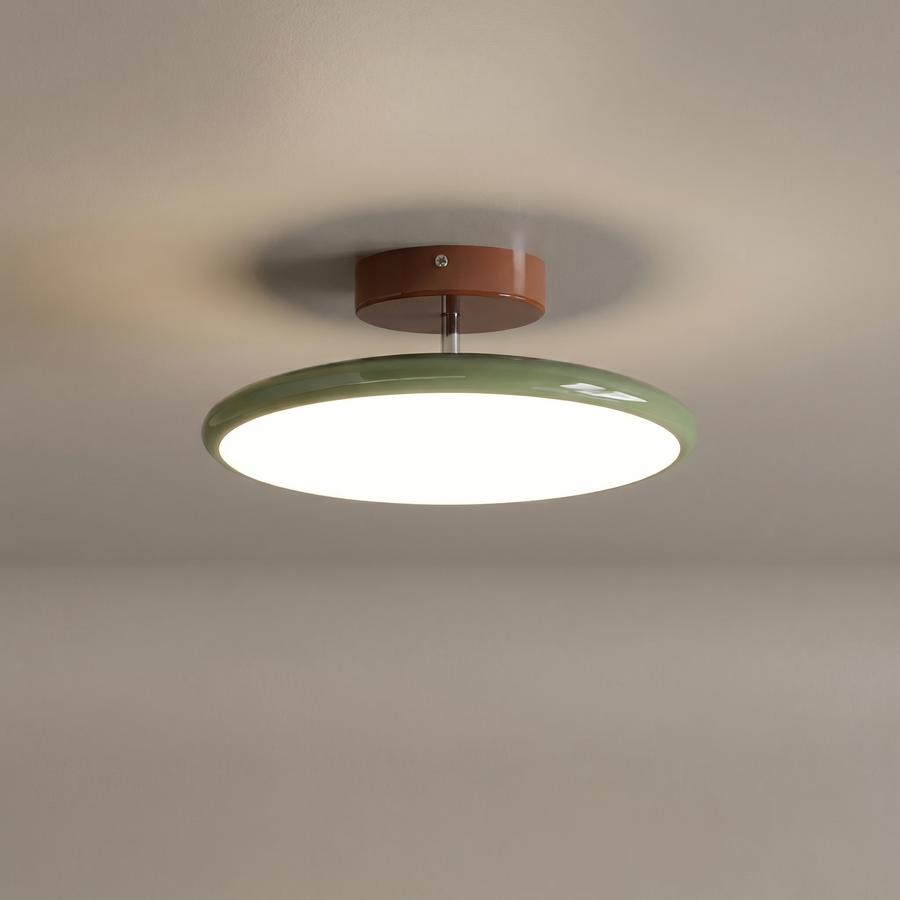 Adjustable Flush Ceiling Light
