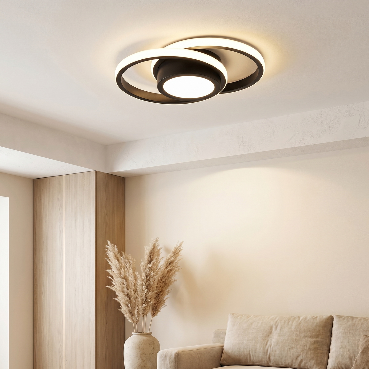 Double Ring Ceiling Light
