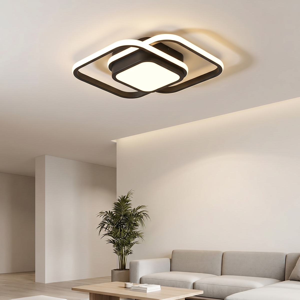 Double Ring Ceiling Light