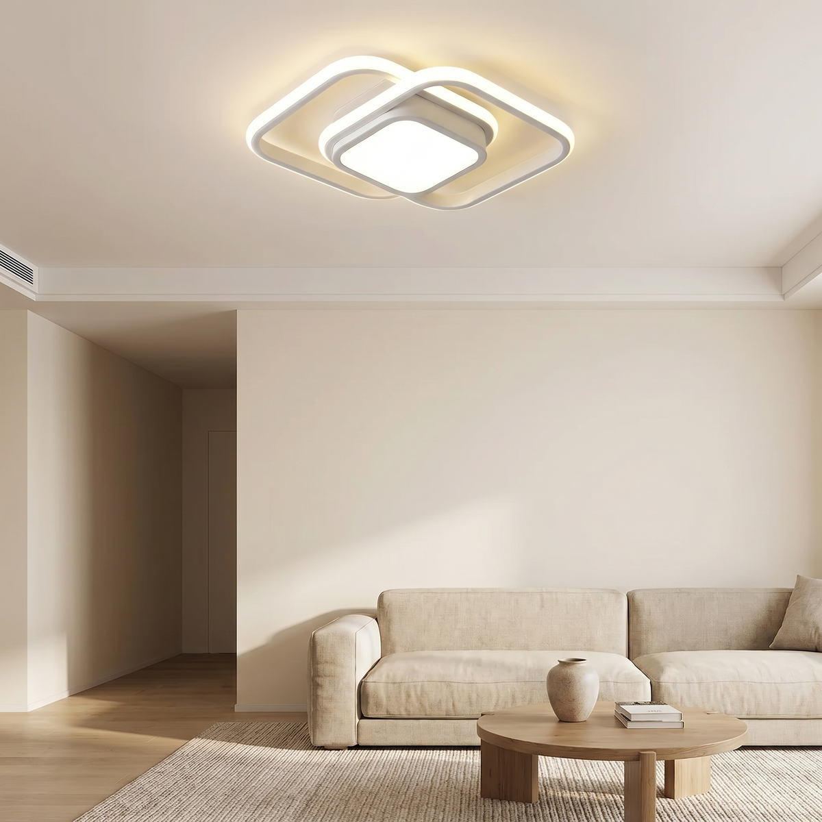 Double Ring Ceiling Light