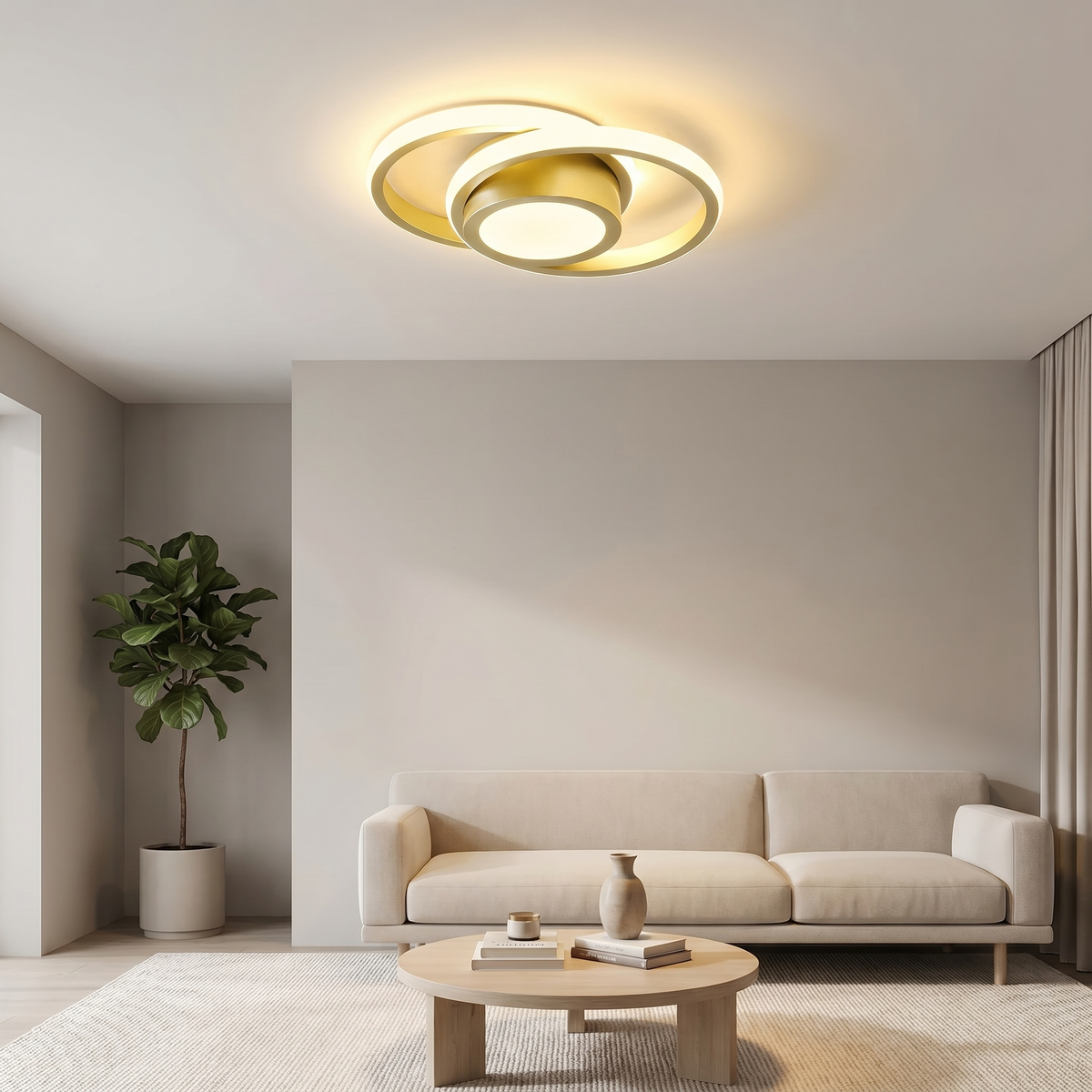 Double Ring Ceiling Light